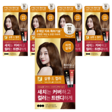 엘라스틴 살롱 드 컬러 염색제 세트, 자연갈색, 5개