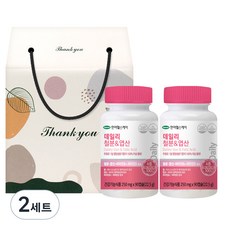 한미헬스케어 데일리 철분 & 엽산 선물세트, 90정, 2세트
