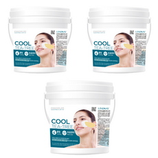 린제이 프리미엄 쿨 티트리 모델링 마스크 820g, 1개입, 3개