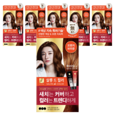 엘라스틴 살롱 드 컬러 앤 새치 염색 크림, 오렌지브라운, 6개