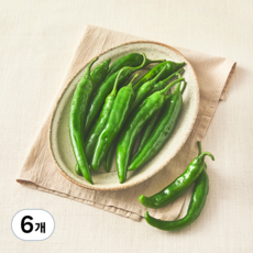 국내산 유기농 오이고추, 300g, 6개