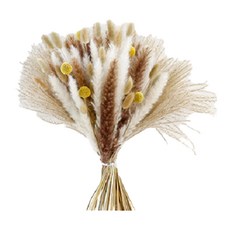 KUIBAO 快豹生活 簡約素胚花瓶 乾燥花036, 土白色 + 土棕色