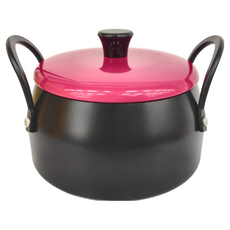 品藝鍋具 多功能迷你油炸鍋 EP-394RI 鐵鋁合金材質 耐水煮塗層 鐵製鍋蓋, 14cm, PE-FP-394RI, 1個