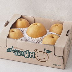 원농산 당도선별 배, 3kg(4~6입), 1박스