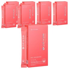 뉴트리코어 콜라겐담다, 300g, 7개