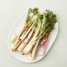 남해 땅두릅, 1개, 200g