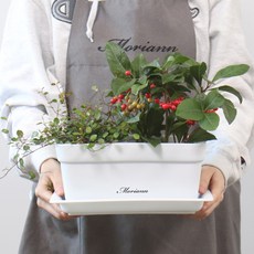 MORIANN 草花箱 4p + 花盆底盤 4p, 白色, 1個