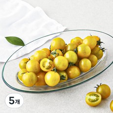 온리팜 GAP 인증 옐로리타 토마토, 500g, 5개
