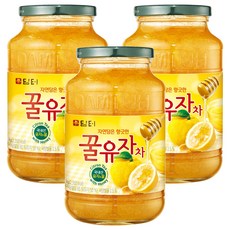 담터 꿀유자차, 1kg, 3개, 1개입