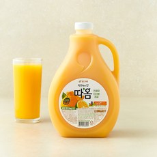 따옴 천혜향&한라봉&청귤 주스, 2.3L, 1개
