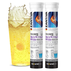 내츄럴플러스 잔티바 프리미엄 칼슘 마그네슘 비타민D 81g, 15정, 2개