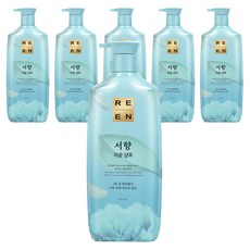 리엔 자윤 한방 샴푸 서향, 950ml, 6개