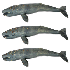 Bandi Toy 柔軟動物灰鯨公仔, 3個