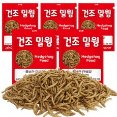 도치펫 반려동물 건조밀웜, 150g, 5개