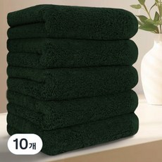 테리크 프리미엄 먼지없는 호텔 수건 200g 40수 코마사 면, 다크그린, 10개