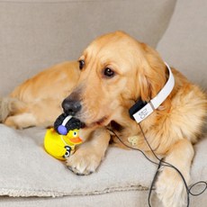 LANCO DJ민지덕 라텍스 강아지 장난감, 혼합 색상, 1개