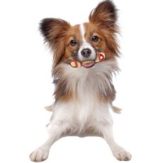 닐라본 듀라츄 강아지 장난감 소고기맛, 1개