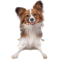 나일라본 듀라츄 소고기맛 강아지 장난감 16kg 이하, 혼합 색상, 1개