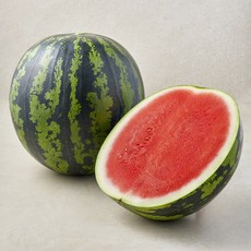 달고 시원한 수박, 1개, 6kg 이상