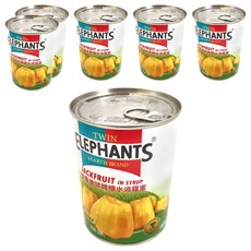 TWIN ELEPHANTS 雙象地球牌 糖水波羅蜜 無添加防腐劑, 565g, 6罐