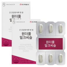 안국약품 원더풀 밀크씨슬 27g, 2개, 30정