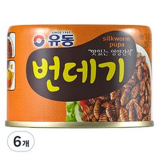 유동 번데기 통조림, 130g, 6개