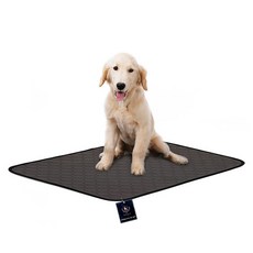 DING DONG PET 寵物可水洗尿墊, 1個, 1入