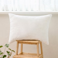 D.Basic 飯店用超細纖維拉鍊式枕芯, 白色, 1個