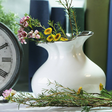 法國花瓶, 白色