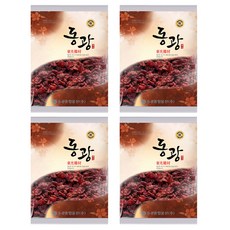 동광한방몰 건 산수유 열매, 100g, 4개
