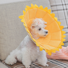 KOjIMA 向日葵領護頸 M號, 1個