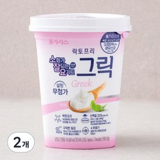 남양유업 불가리스 락토프리 그릭요거트, 400g, 2개