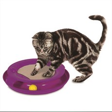 잭슨갤럭시 스파이럴 고양이 장난감, 보라색, 1개