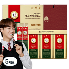 풍년보감 고려홍삼정 에브리데이 골드 홍삼스틱 30포 선물세트 + 쇼핑백, 300g, 5세트