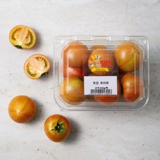 토당토마토, 500g, 1팩