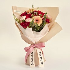 프레시가든 카네이션 장미 꽃다발 레드_M, 레드