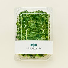 프리미엄 친환경 컬리케일, 100g, 1개