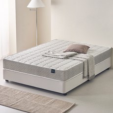 웰퍼니쳐 허리엔 이즈코어 엔드리스 스프링 매트리스 방문설치, 220mm, 미디엄하드