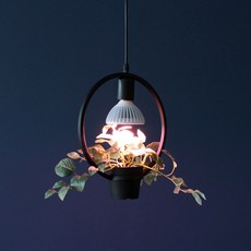 好的照明研究所Ivy 1等吊燈照明LED植物栽培用燈, 黑色的