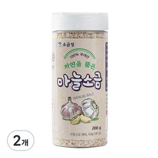 소금성 가는입자 마늘소금 용기형, 2개, 200g
