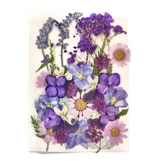 A-ONE 匯旺 真花壓花 大花包 3入 1個, 莫內紫園(CC01)