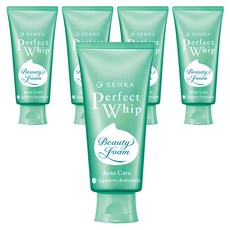 센카 퍼펙트 휩 아크네 케어 에이 클렌징폼, 100g, 5개