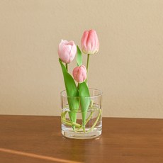 앙플랜트 심플 이즈 베스트 원형 유리 화병, 투명