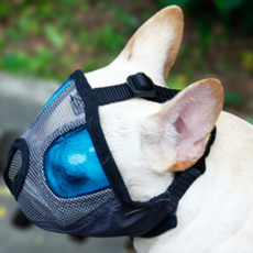 ZEZEPET 單頭犬口罩 S, G379PDTM003, 1個