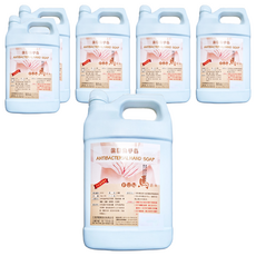 FUN馬過來 PH7 中性抗菌洗手乳 營業用, 3.8L, 6桶