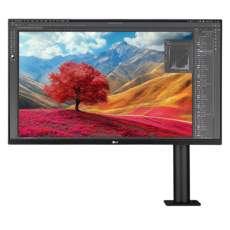 LG전자 4K UHD 울트라HD 모니터 방문설치, 80cm, 32UN880K