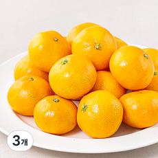 블랙홀 당도선별 10brix 감귤(대과) 1.8kg, 3개, 1.8kg(2L)