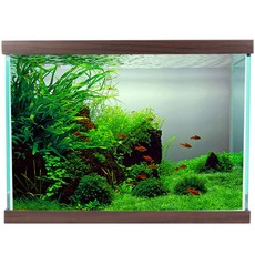 MOBYDICK 現代魚缸 A300 + 蓋子, 巧克力色