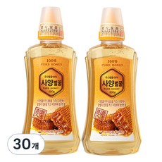 고려인삼 사양 벌꿀, 600g, 30개