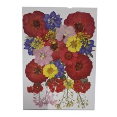 A-ONE 匯旺 真花壓花 CC02 凡爾賽之春